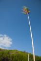 DSC_0178.jpg DSC_0178.jpg