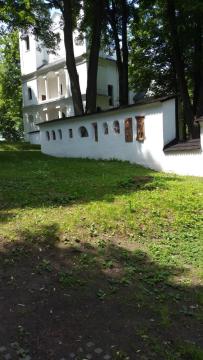 orava orava