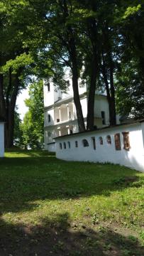 orava orava