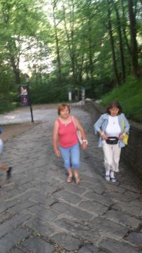 orava orava