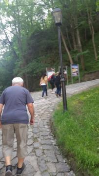 orava orava