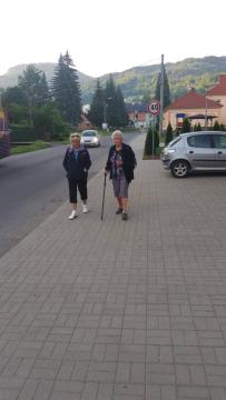 orava orava